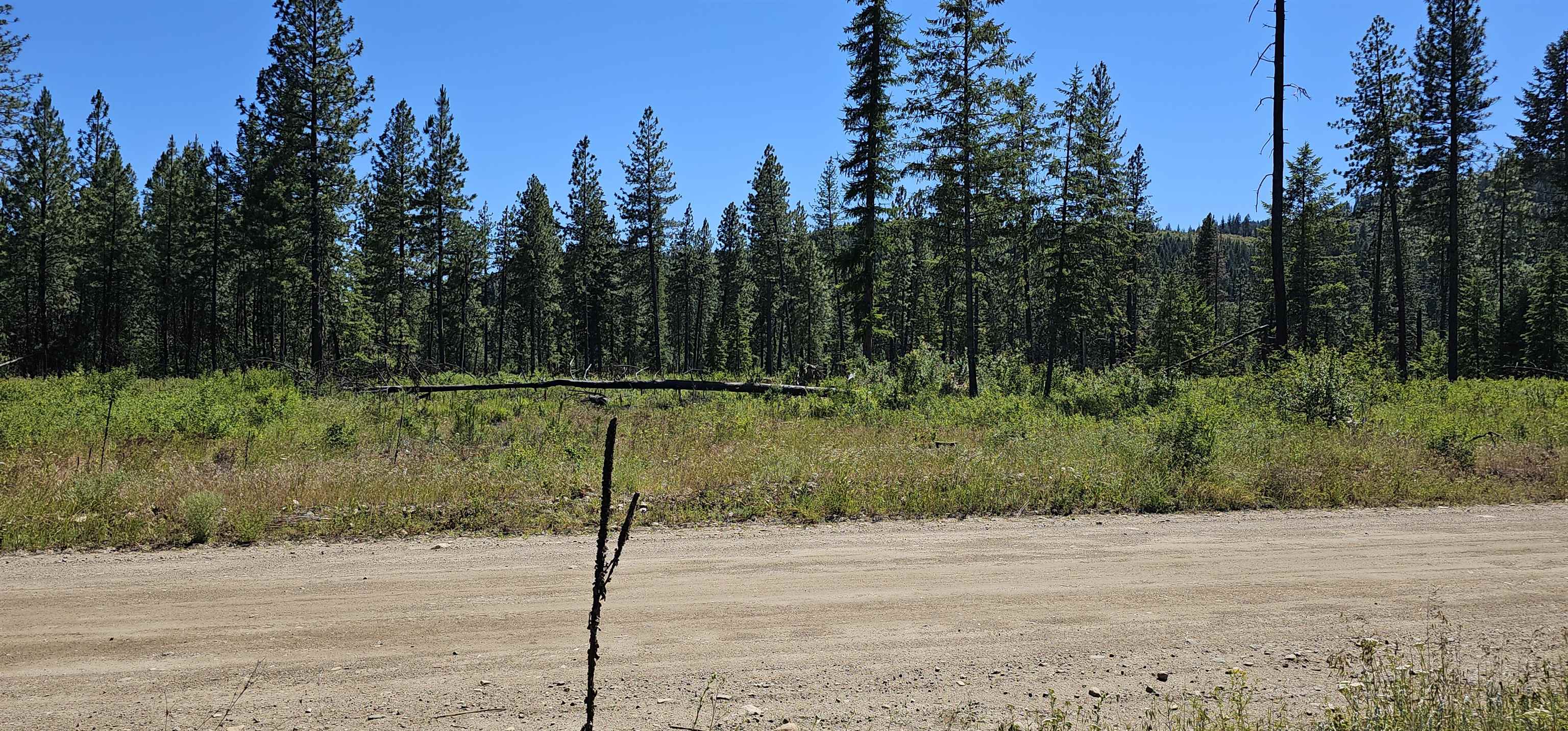 20 X Lynx Road Inchelium, WA 99138 - Photo 36 of 38