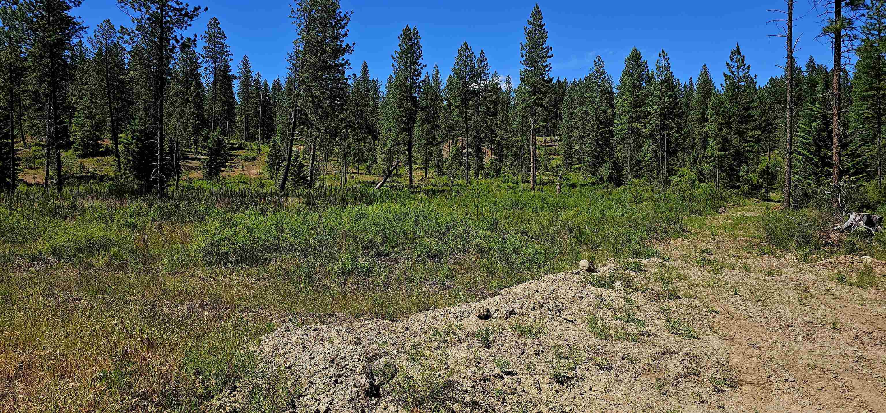 20 X Lynx Road Inchelium, WA 99138 - Photo 38 of 38