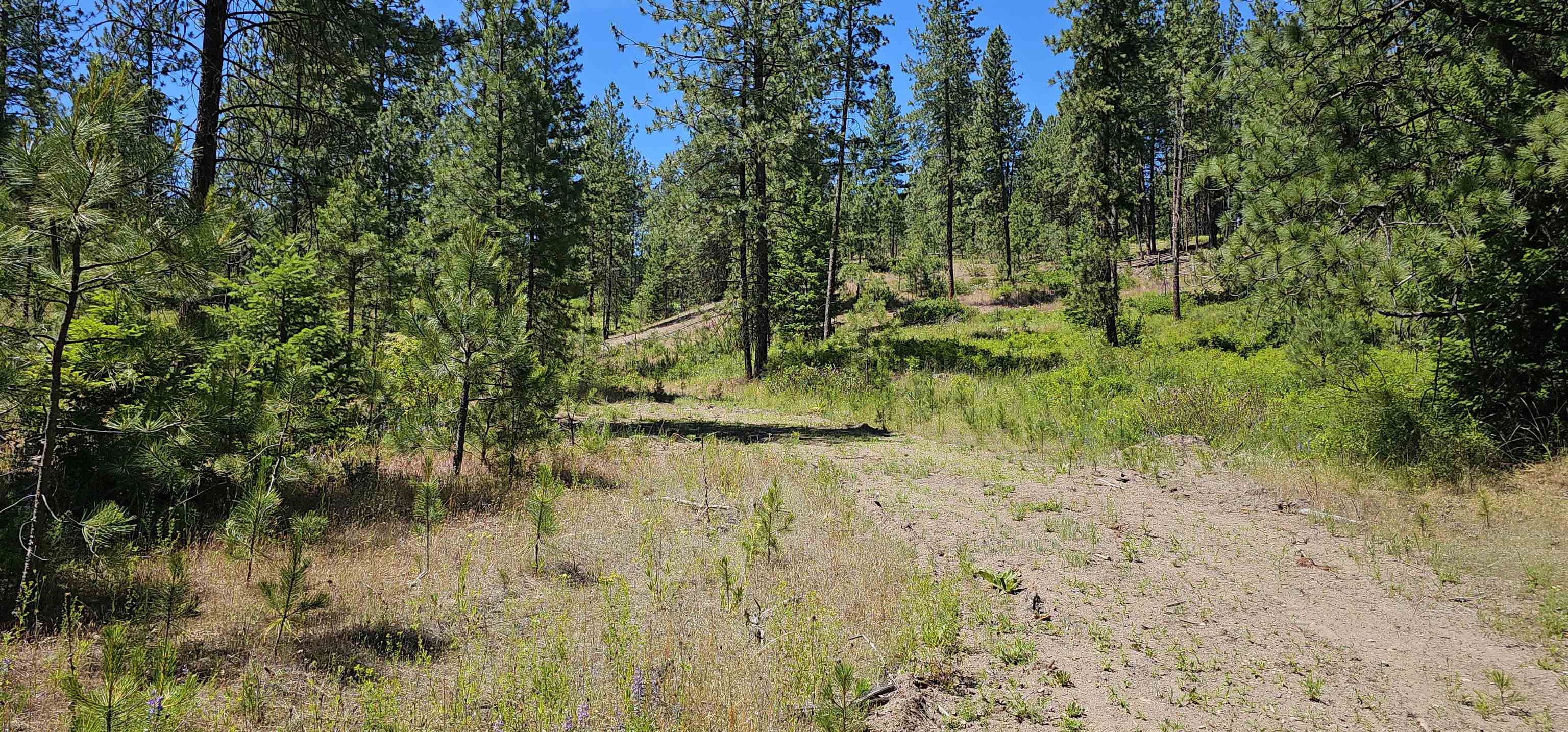 20 X Lynx Road Inchelium, WA 99138 - Photo 5 of 38