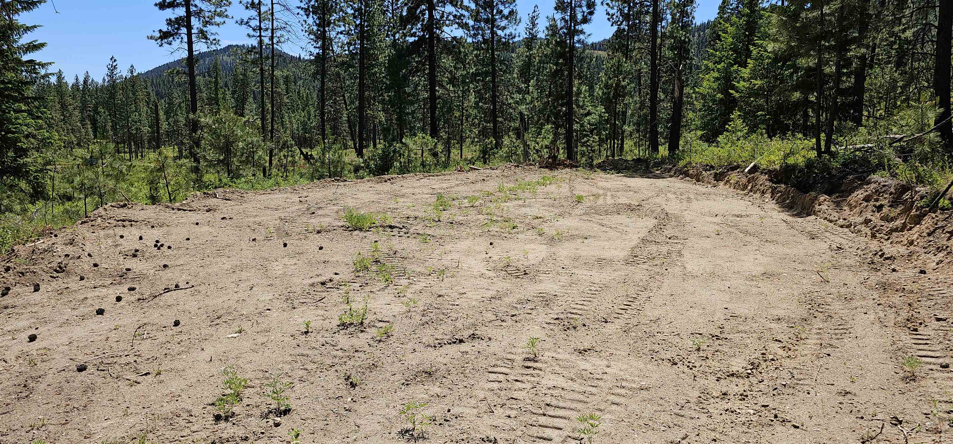 20 X Lynx Road Inchelium, WA 99138 - Photo 7 of 38