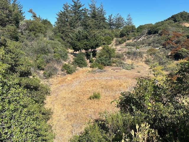 30100 Mt Madonna Road Morgan Hill, CA 95037 - Photo 5 of 5