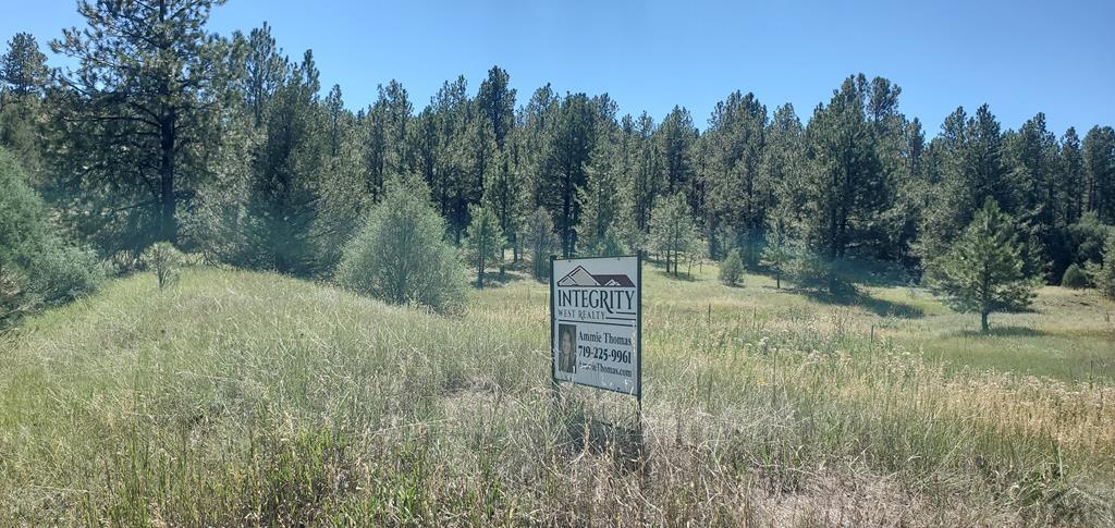 23248 Spirit Mountain Road Aguilar, CO 81020 - Photo 1 of 14