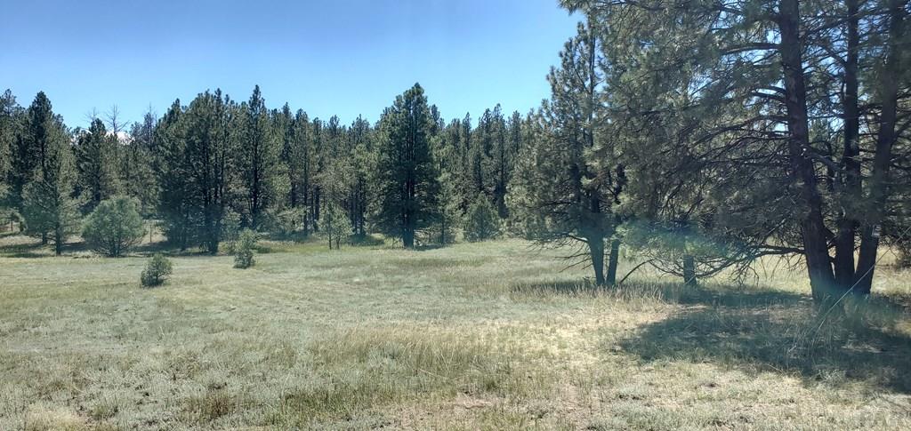 23248 Spirit Mountain Road Aguilar, CO 81020 - Photo 12 of 14