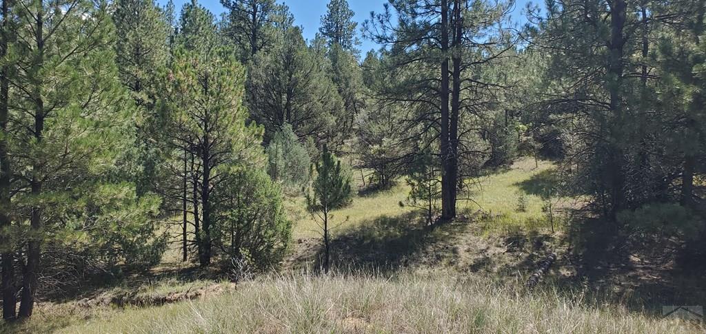 23248 Spirit Mountain Road Aguilar, CO 81020 - Photo 13 of 14