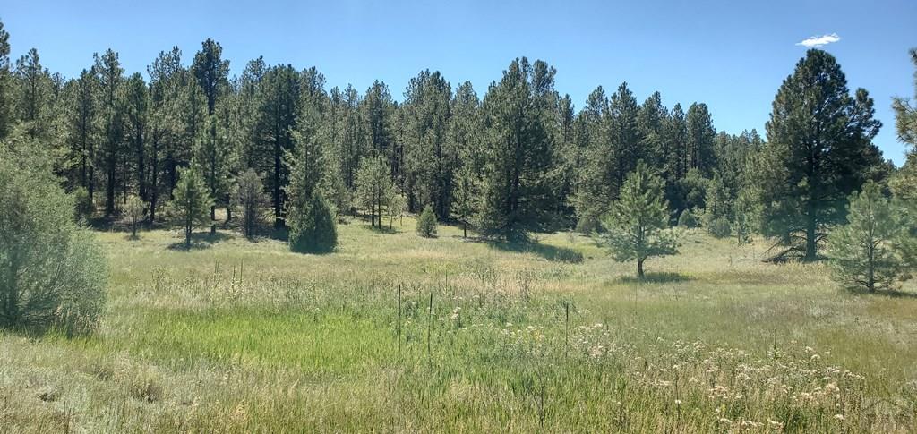 23248 Spirit Mountain Road Aguilar, CO 81020 - Photo 2 of 14