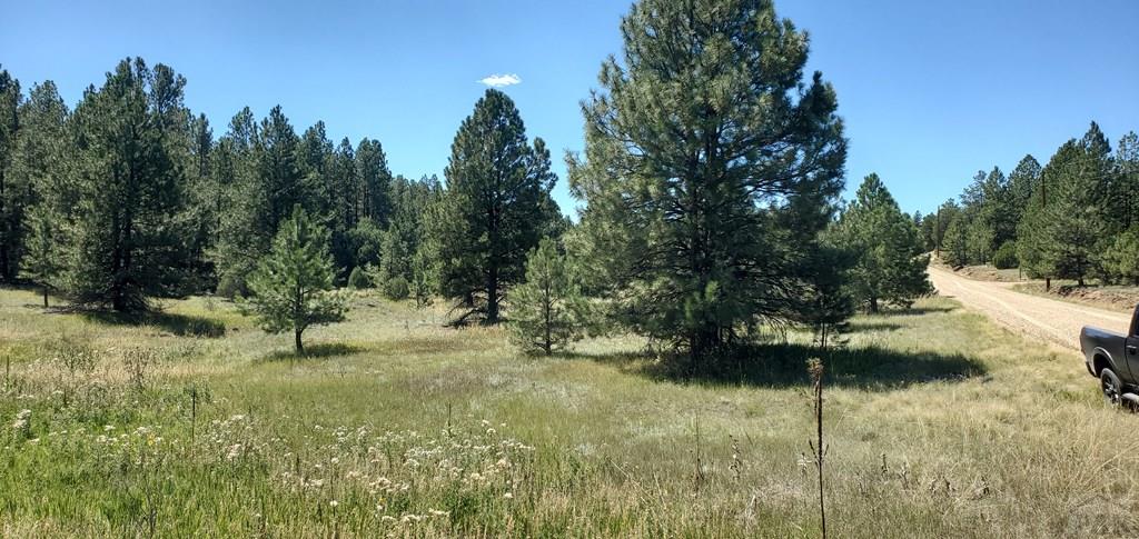 23248 Spirit Mountain Road Aguilar, CO 81020 - Photo 3 of 14