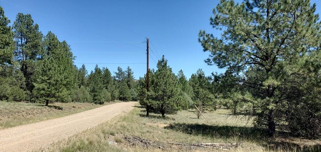 23248 Spirit Mountain Road Aguilar, CO 81020 - Photo 4 of 14