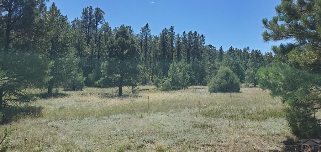 23248 Spirit Mountain Road Aguilar, CO 81020 - Photo 5 of 14