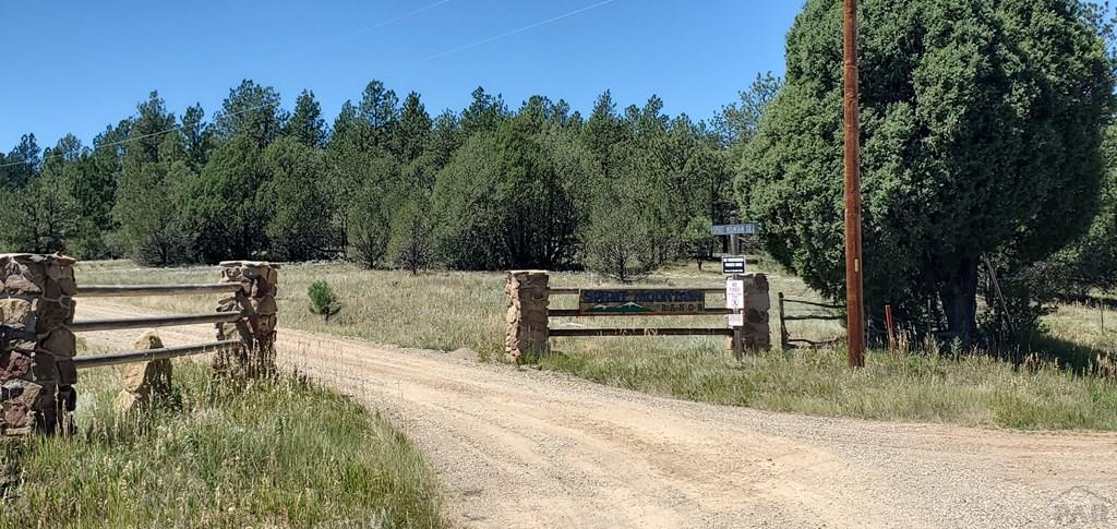 23248 Spirit Mountain Road Aguilar, CO 81020 - Photo 10 of 14