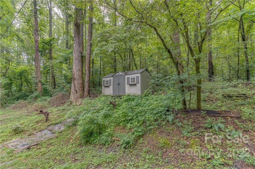 445 Autumn Lane Tryon, NC 28782 - Photo 4 of 27 a view of a lush green forest