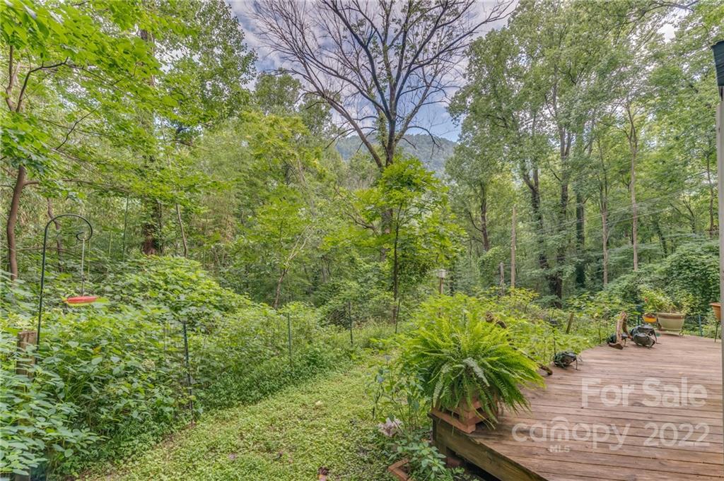 445 Autumn Lane Tryon, NC 28782 - Photo 5 of 27 a view of a garden with plants