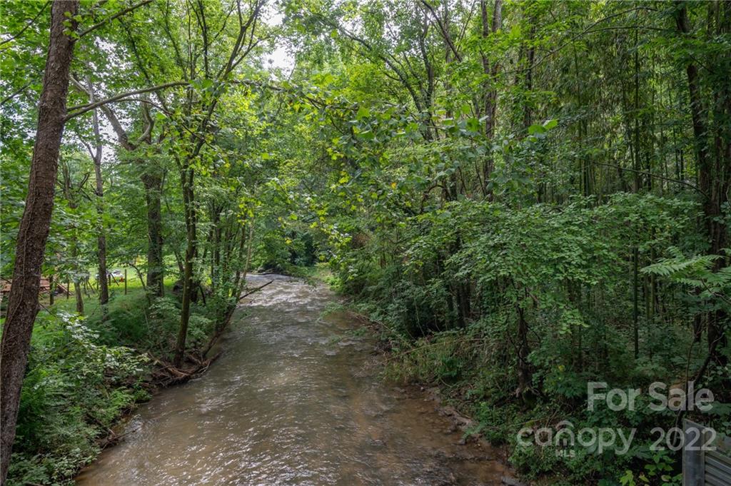 445 Autumn Lane Tryon, NC 28782 - Photo 7 of 27 a view of a forest with trees in the background