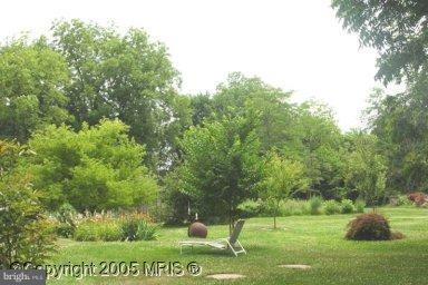 7041 Thorneton Road St. Michaels, MD 21663 - Photo 13 of 19 a view of green field