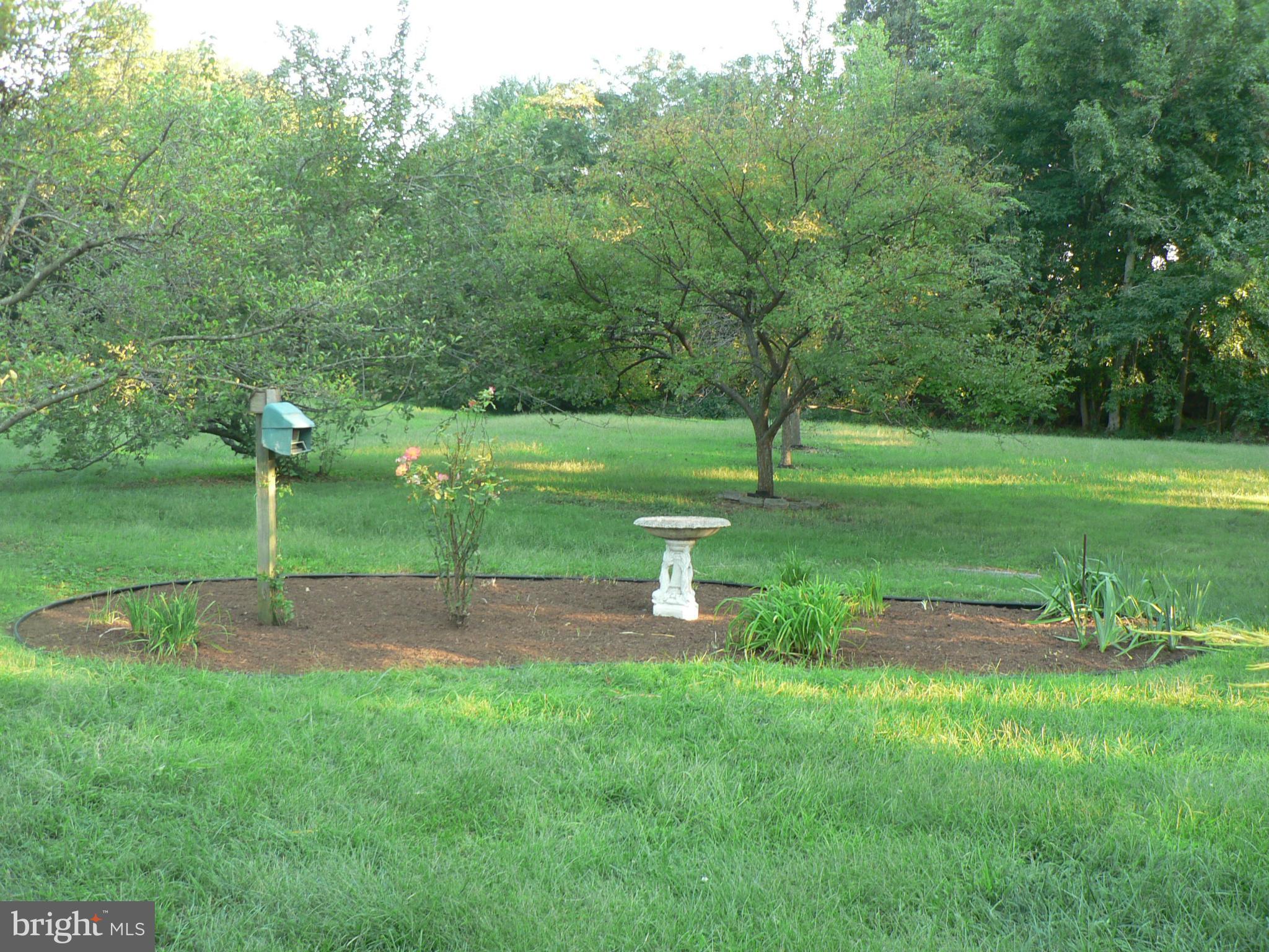 7041 Thorneton Road St. Michaels, MD 21663 - Photo 14 of 19 a view of a park with large trees