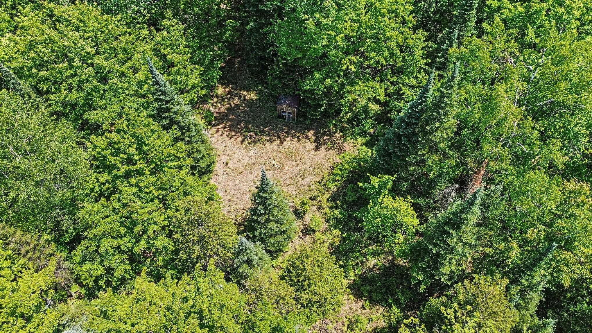 0 Ora Lake Road Hale, MI 48739 - Photo 7 of 22