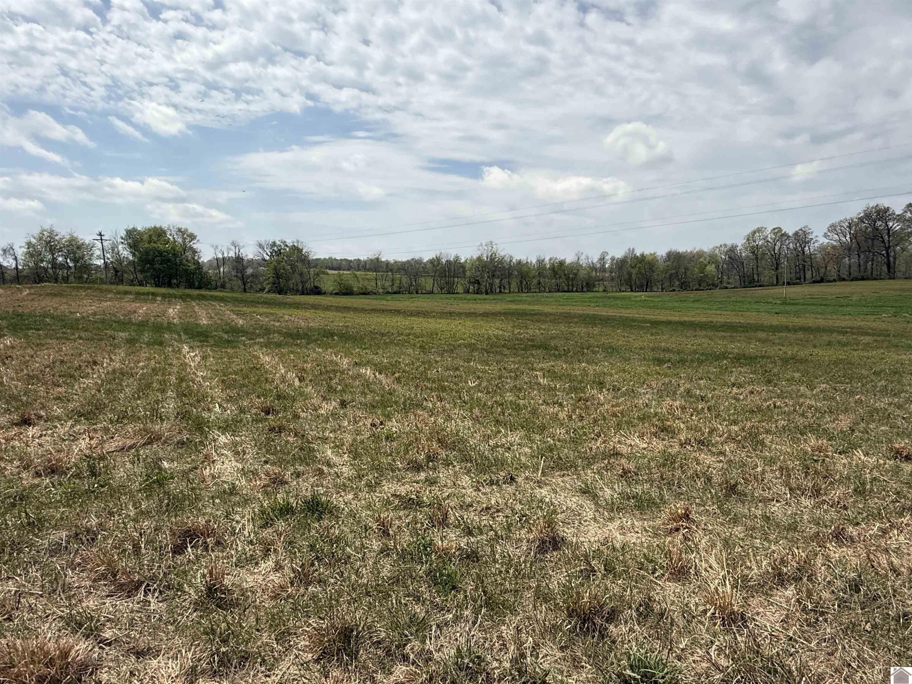 1375 Poole Mill Road Crofton, KY 42217 - Photo 19 of 31 Photo 20