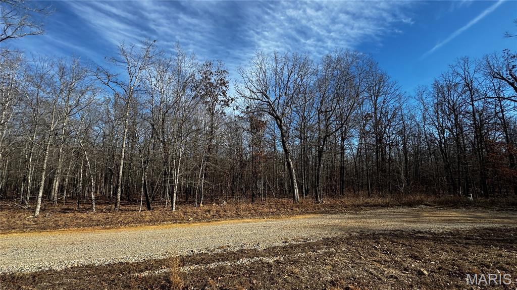 2419 Ripley Rt Bb Doniphan, MO 63935 - Photo 12 of 14