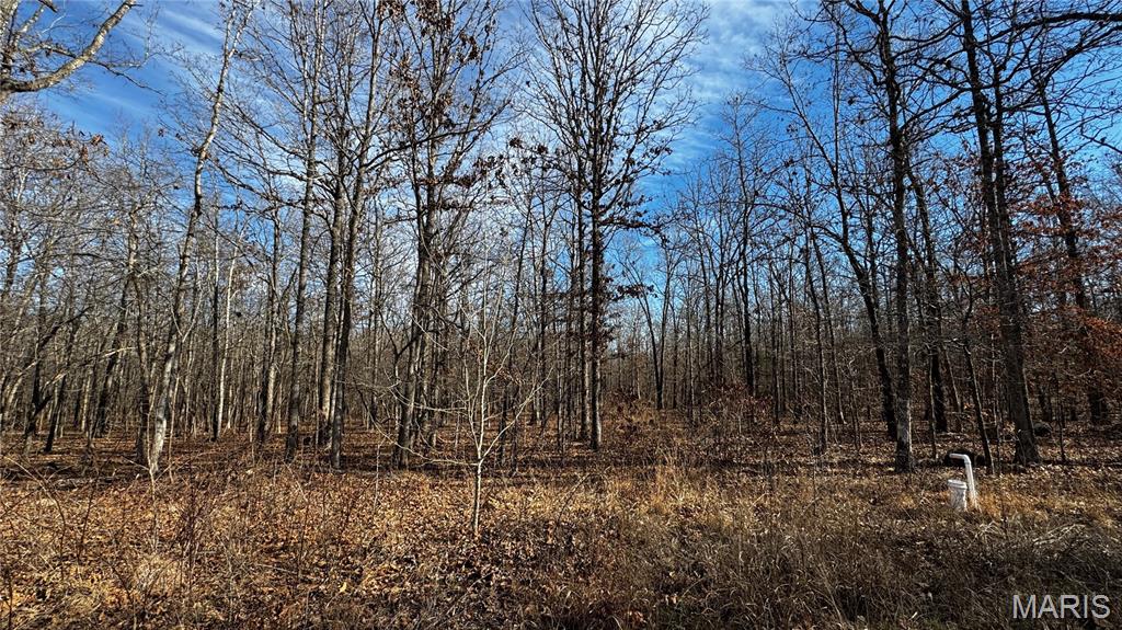 2419 Ripley Rt Bb Doniphan, MO 63935 - Photo 14 of 14