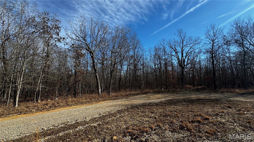 2419 Ripley Rt Bb Doniphan, MO 63935 - Photo 4 of 14