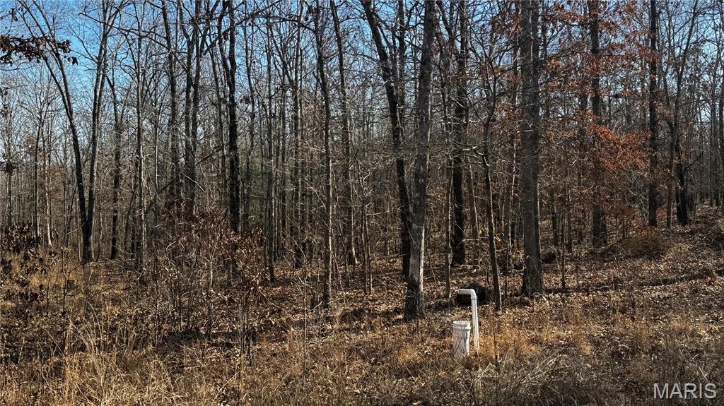 2419 Ripley Rt Bb Doniphan, MO 63935 - Photo 7 of 14