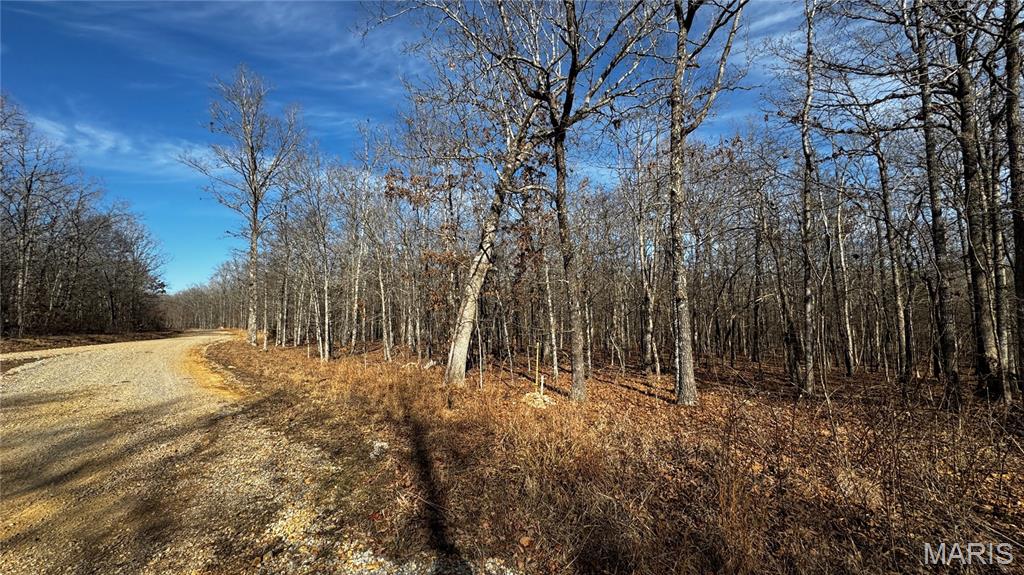 2419 Ripley Rt Bb Doniphan, MO 63935 - Photo 8 of 14