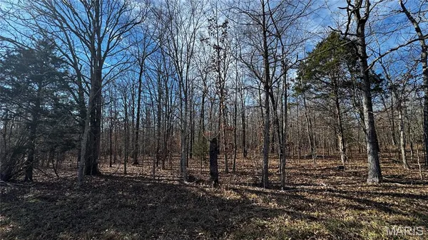 $109,000 | 2419 Ripley Rt Bb, Doniphan, MO 63935