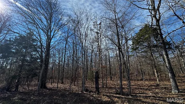 $109,000 | 2419 Ripley Rt Bb, Doniphan, MO 63935