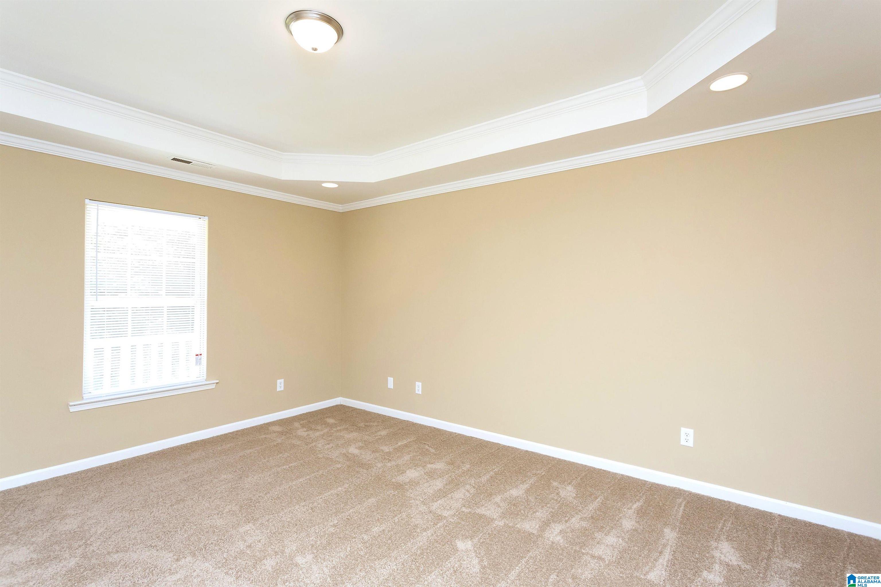 13217 Abernant Loop Vance, AL 35490 - Photo 13 of 17