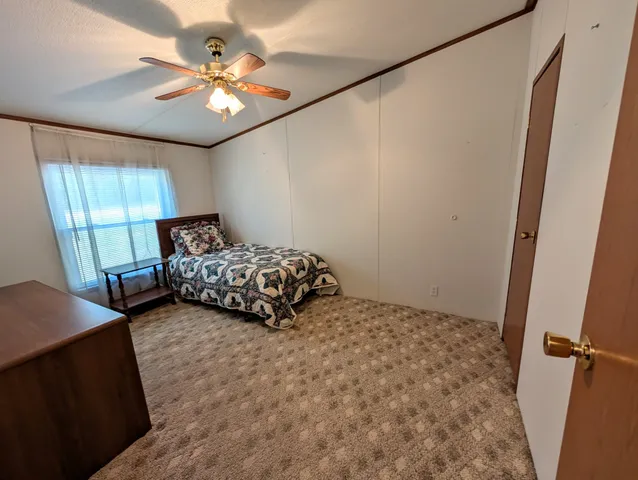 a bedroom with a bed window and a ceiling fan