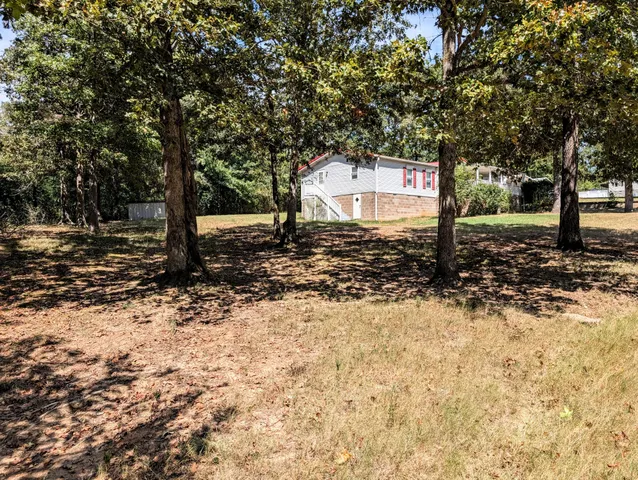a big yard with lots of tall trees