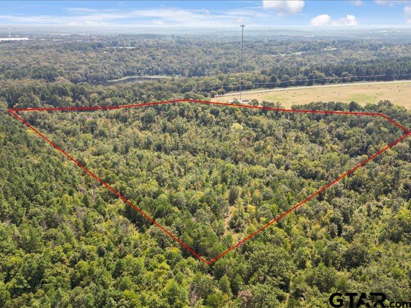 12717 Farm To Market Road 2015 Tyler, TX 75708 - Photo 4 of 9 a view of a yard and an ocean beach