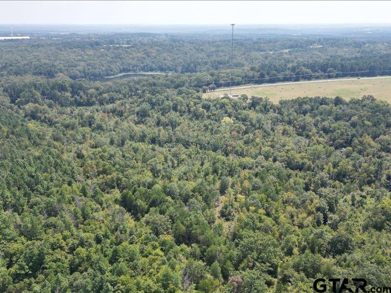 12717 Farm To Market Road 2015 Tyler, TX 75708 - Photo 5 of 9