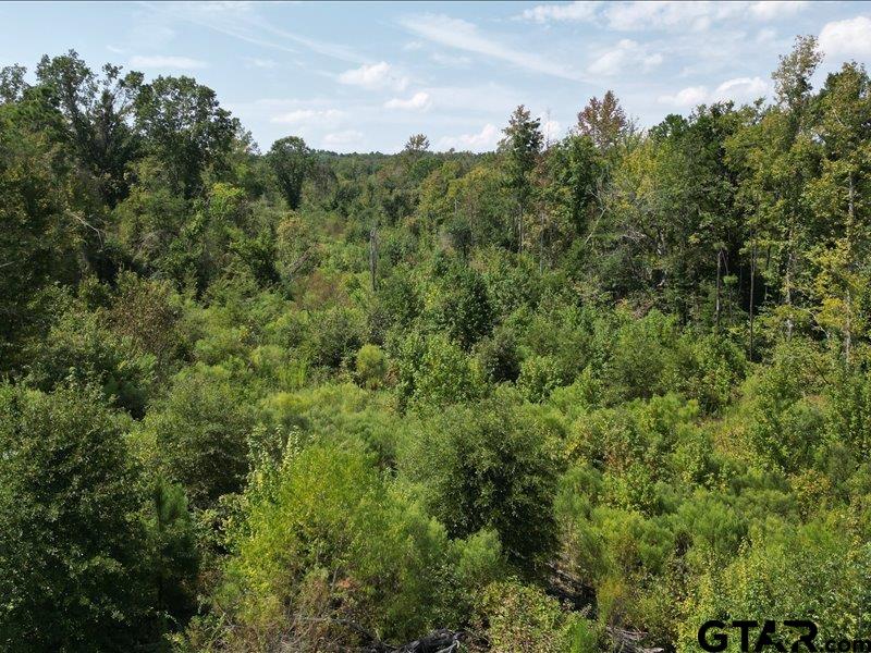 12717 Farm To Market Road 2015 Tyler, TX 75708 - Photo 8 of 9 an aerial view of a house with a yard