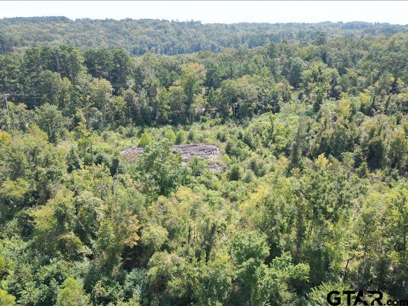 12717 Farm To Market Road 2015 Tyler, TX 75708 - Photo 9 of 9 a view of a forest with a street
