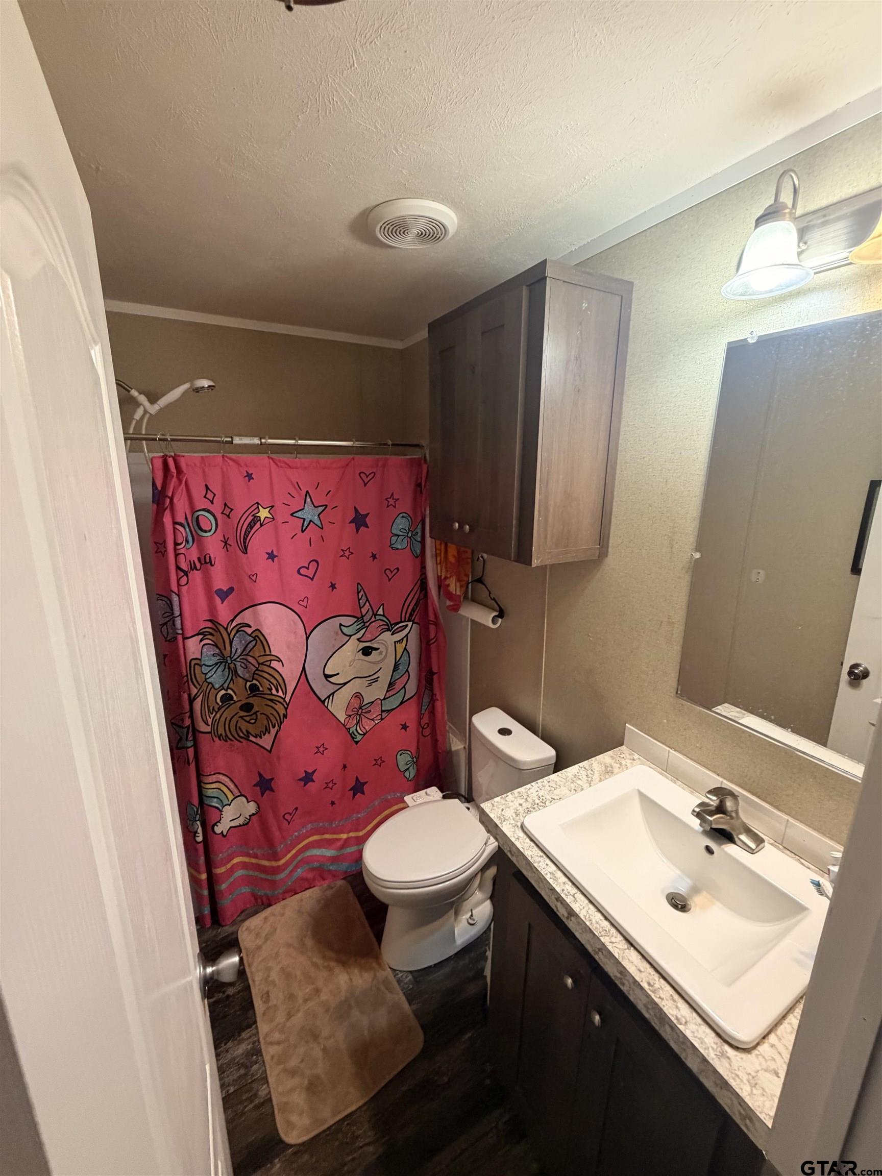 11300 Highway 271, Unit 52 Tyler, TX 75708 - Photo 16 of 16 a bathroom with a sink mirror vanity and toilet
