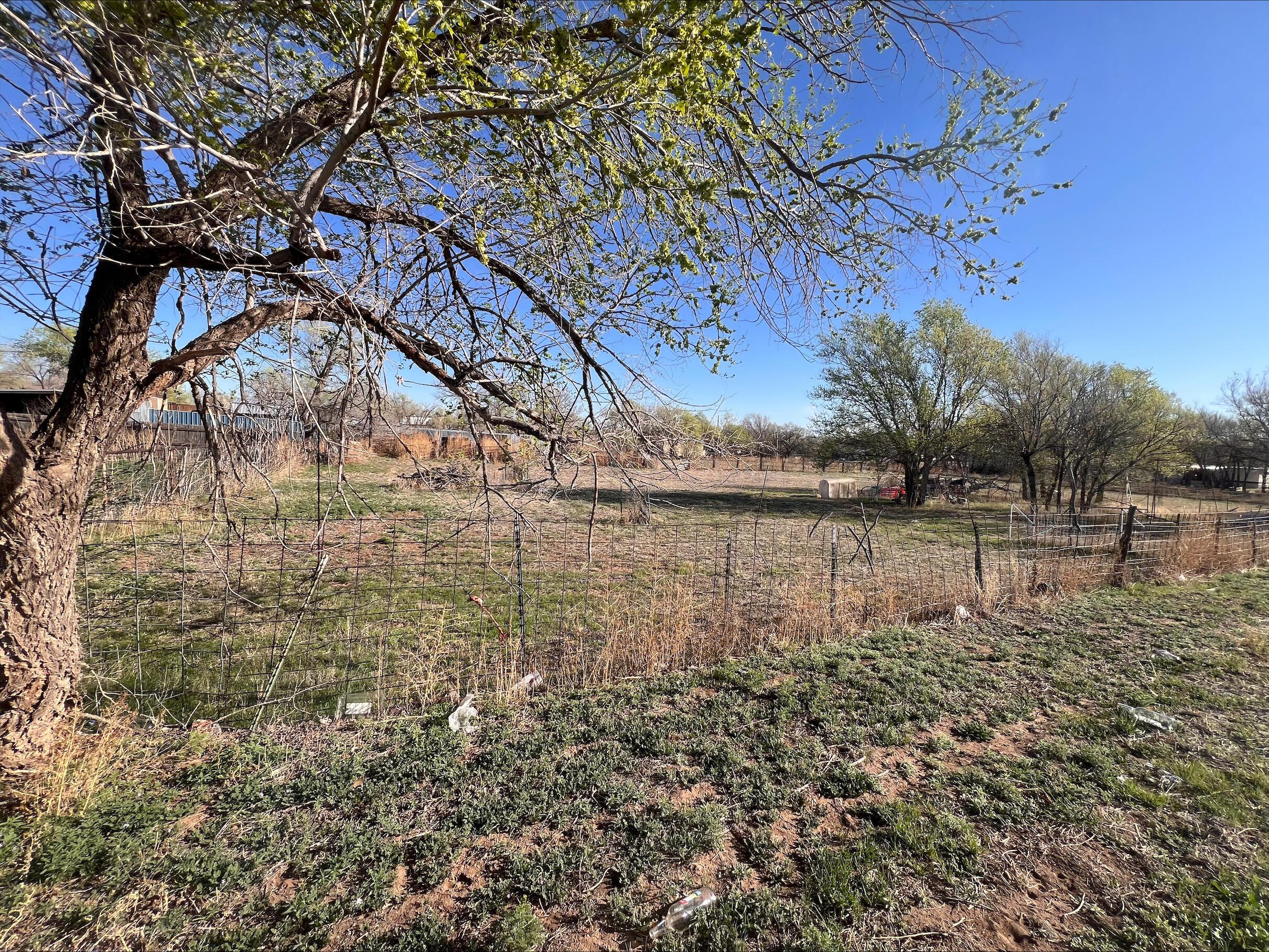 4801 Echo Street Amarillo, TX 79108 - Photo 4 of 5 a view of a yard with a tree