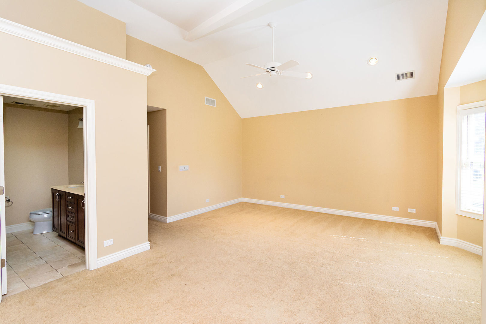 342 Maple Avenue Downers Grove, IL 60515 - Photo 11 of 31