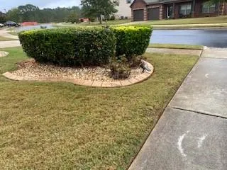 a view of a fountain in front of lake