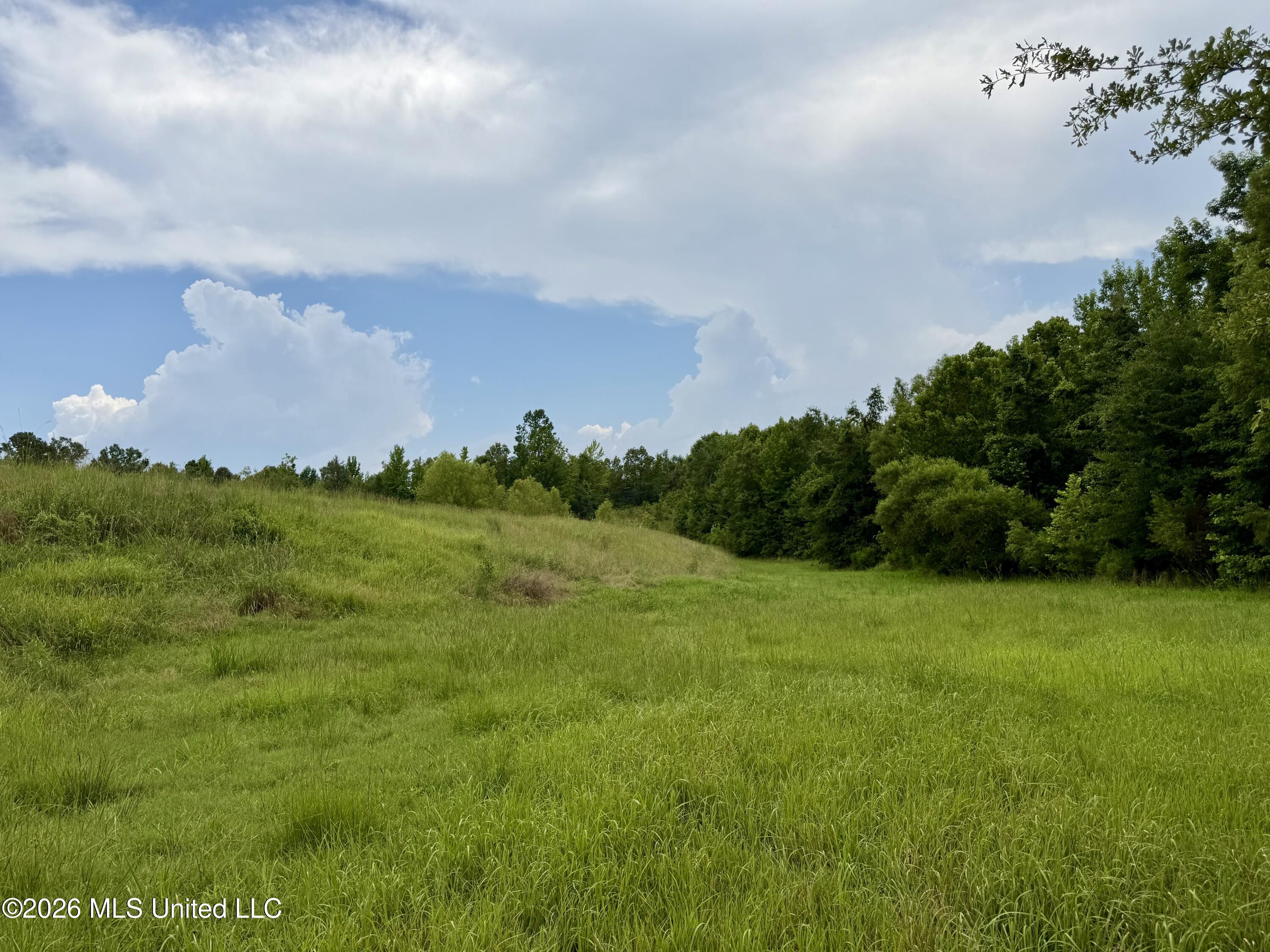 568 Smith-Bailey Road Durant, MS 39063 - Photo 51 of 81 Photo Jul 02 2026, 2 25 20 PM
