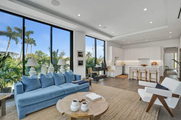 a living room with furniture kitchen view and a potted plant