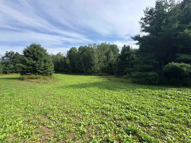 $380,000 | Kelly Road, Gillett, WI 54124