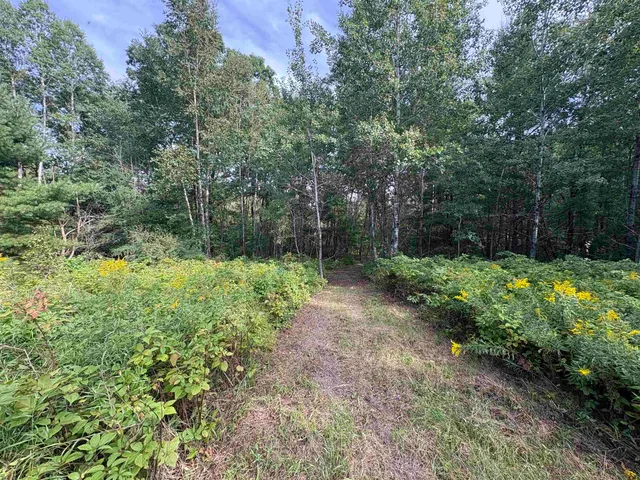 $380,000 | Kelly Road, Gillett, WI 54124