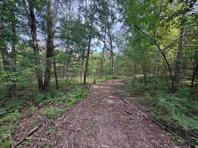 $380,000 | Kelly Road, Gillett, WI 54124