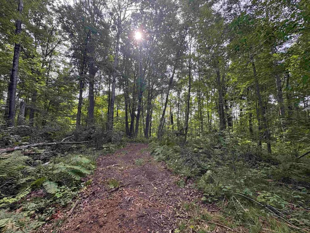 $380,000 | Kelly Road, Gillett, WI 54124