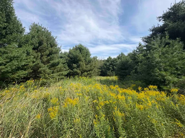 $380,000 | Kelly Road, Gillett, WI 54124