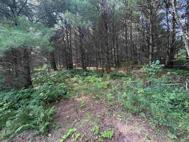 $380,000 | Kelly Road, Gillett, WI 54124