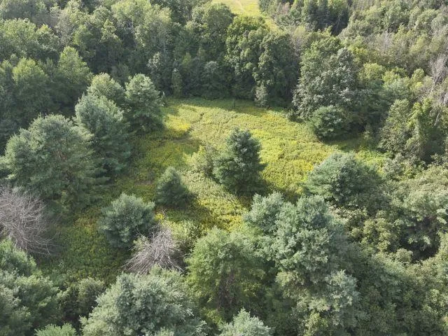 $380,000 | Kelly Road, Gillett, WI 54124