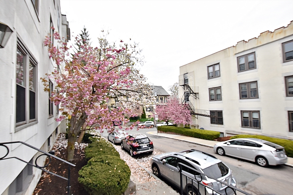 5 Bellvista Road, Unit 6 Boston, MA 02135 - Photo 22 of 32