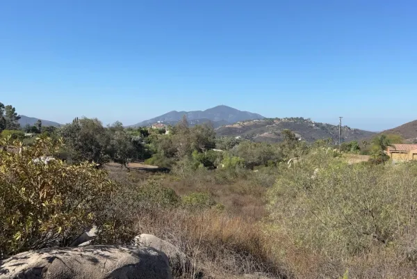 a view of a mountain range with trees in the background