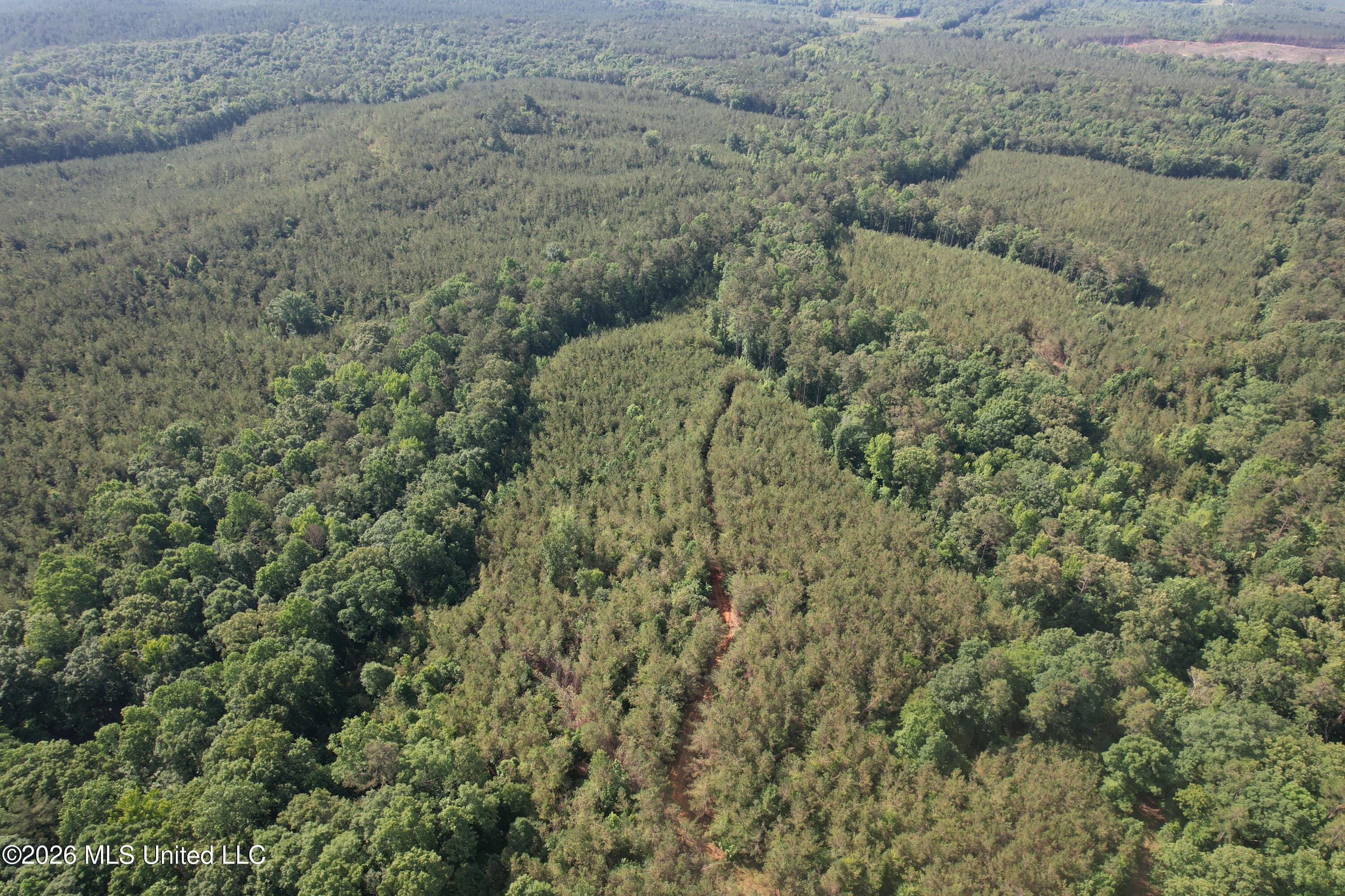 Tom Mans Road Vaiden, MS 39176 - Photo 2 of 12 DJI_0326